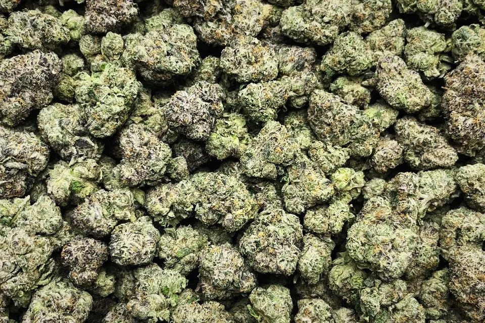 Archive Runtz THCA flower as it came in, indoor