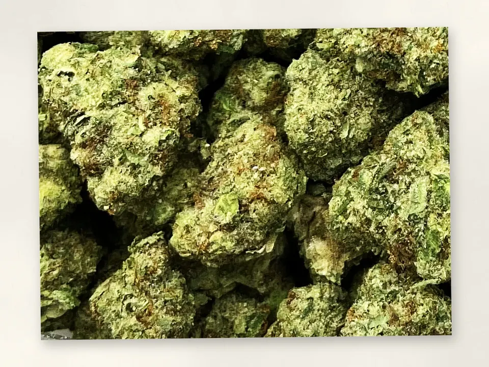 Biscotti Cream THCA flower bud, close up