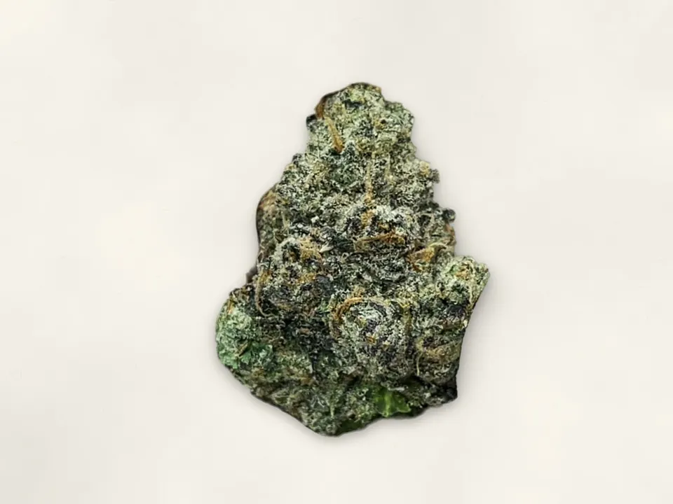 Blue Slushie THCA flower bud, close up