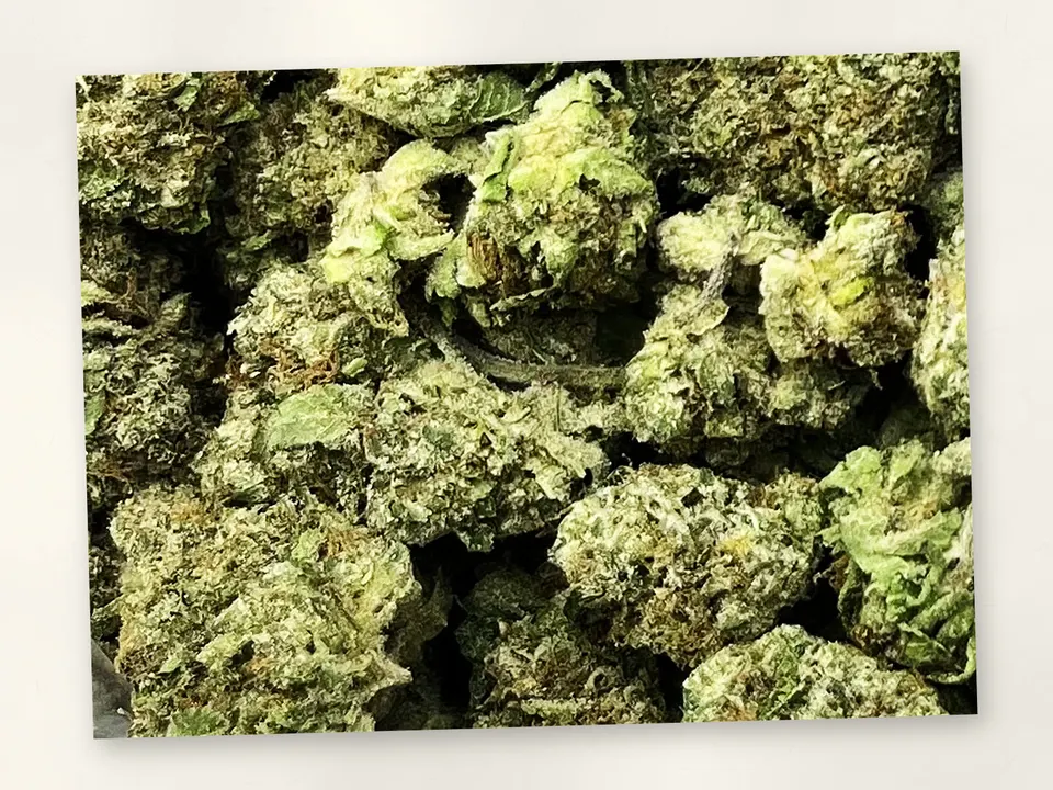 Caked Up Candy THCA flower bud, close up