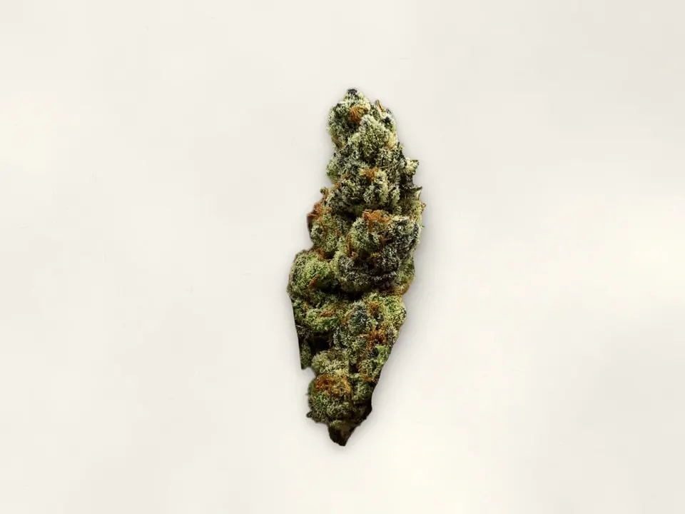 Cherry Cream Float THCA flower bud, close up