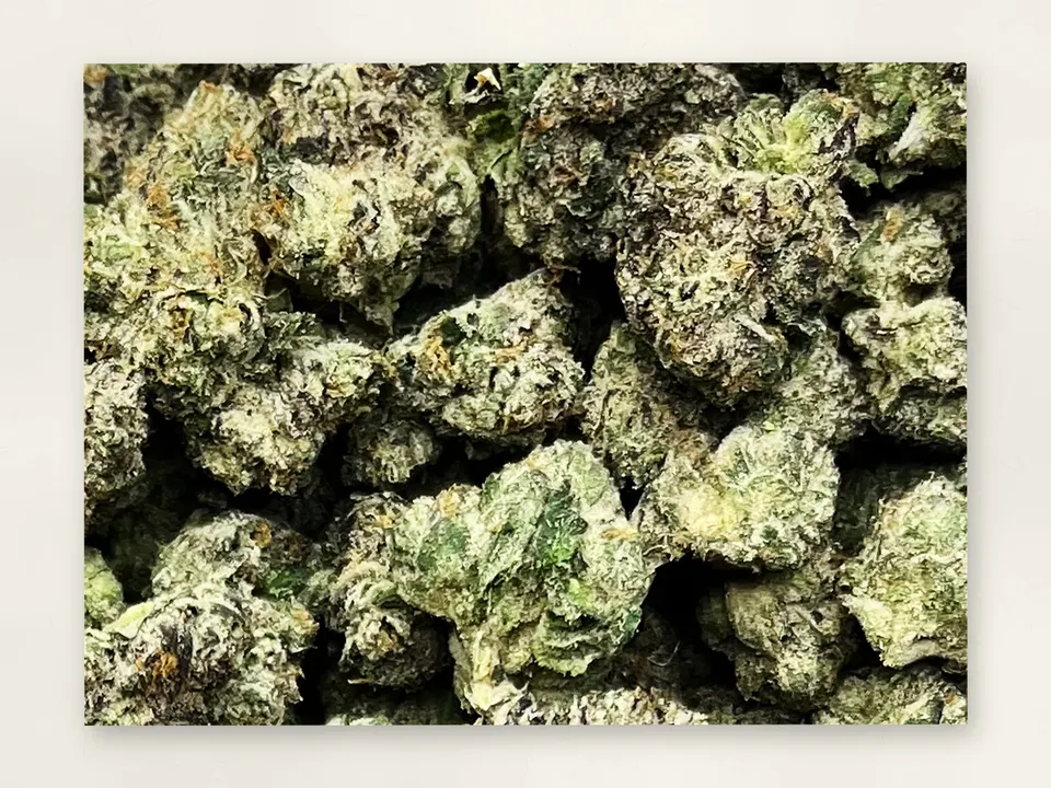 Cherry Slushie THCA flower bud, close up