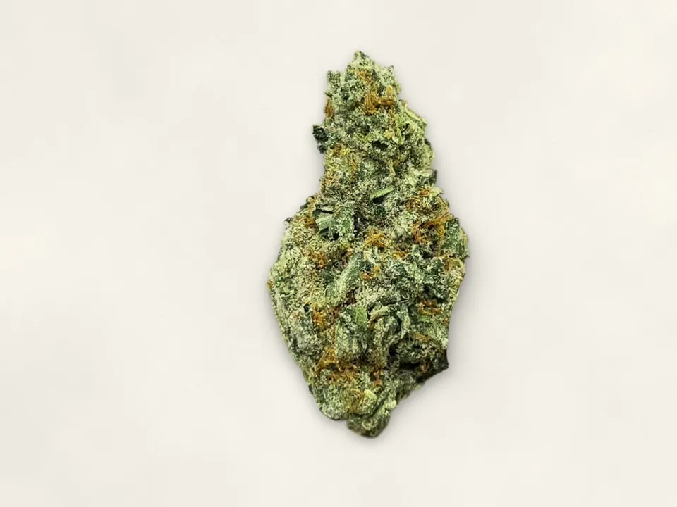 Cream Smoothie THCA flower bud, close up