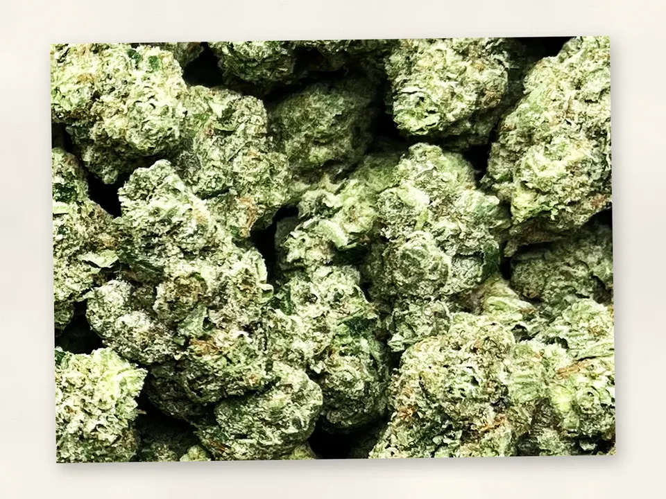Donny Burger THCA flower bud, close up