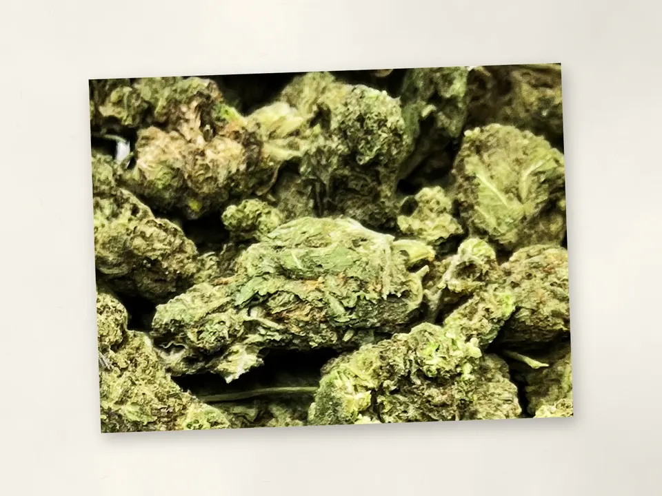 English Tea THCA flower bud, close up