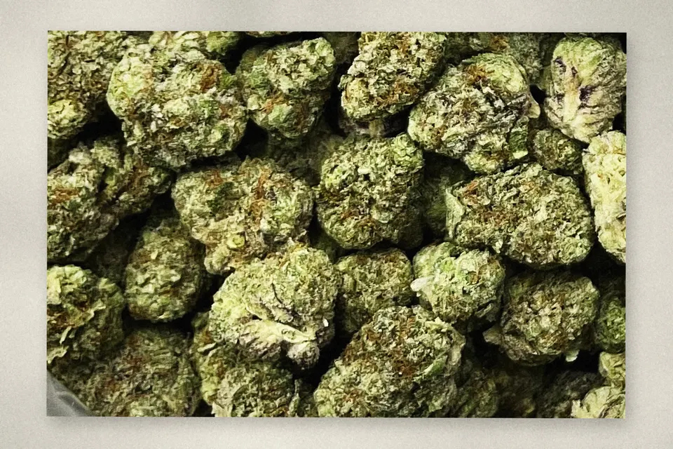 Kept Secret THCA flower as it came in, smalls