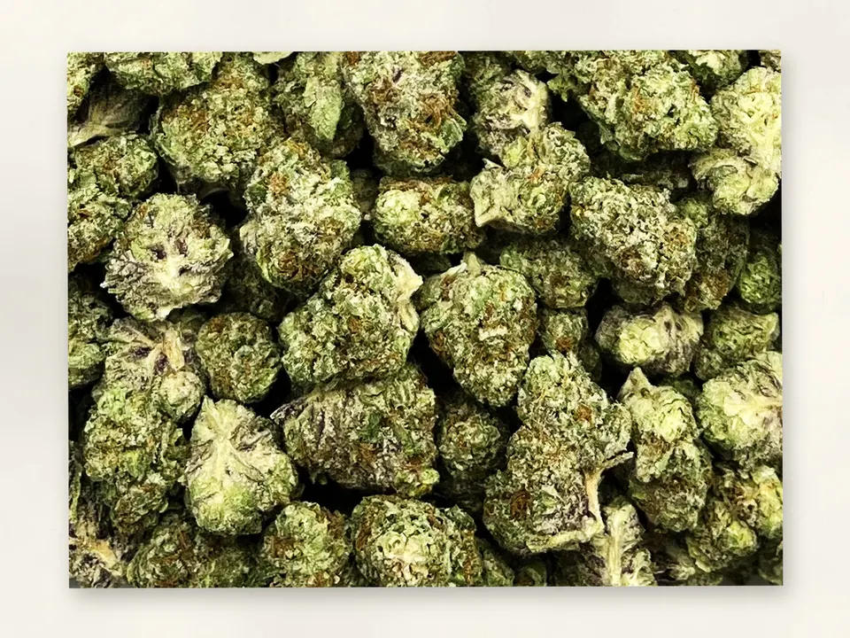 Kept Secret THCA flower bud, close up