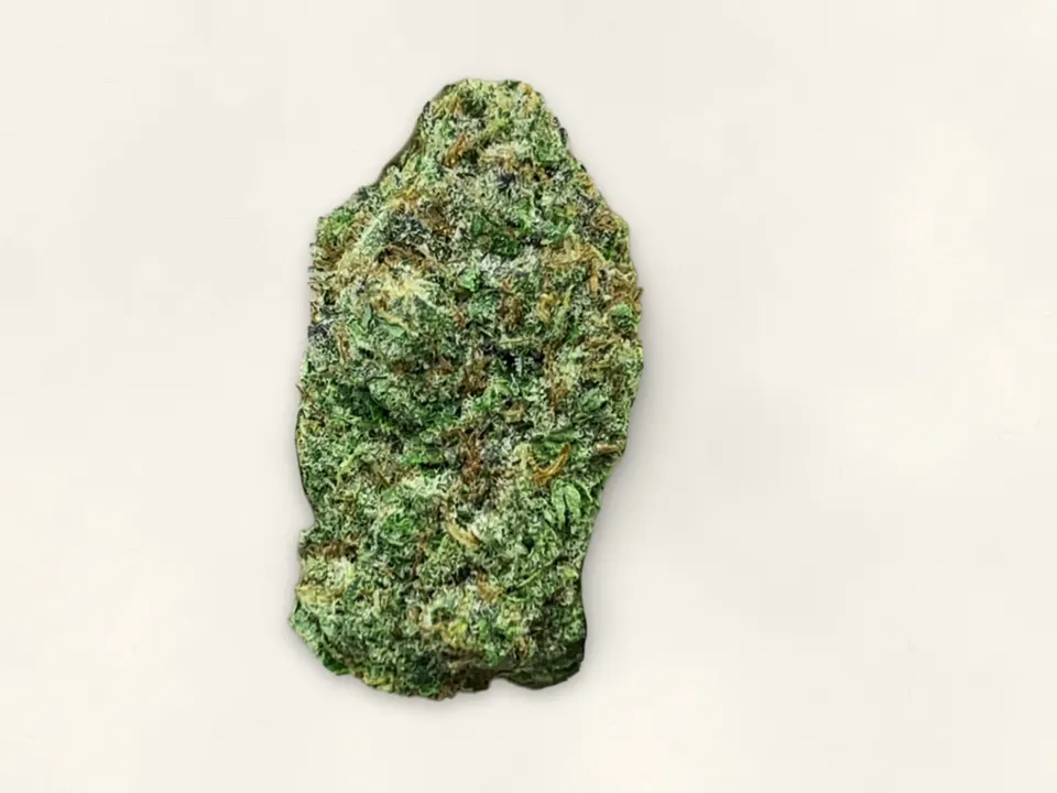 Lemon Mintz THCA flower bud, close up