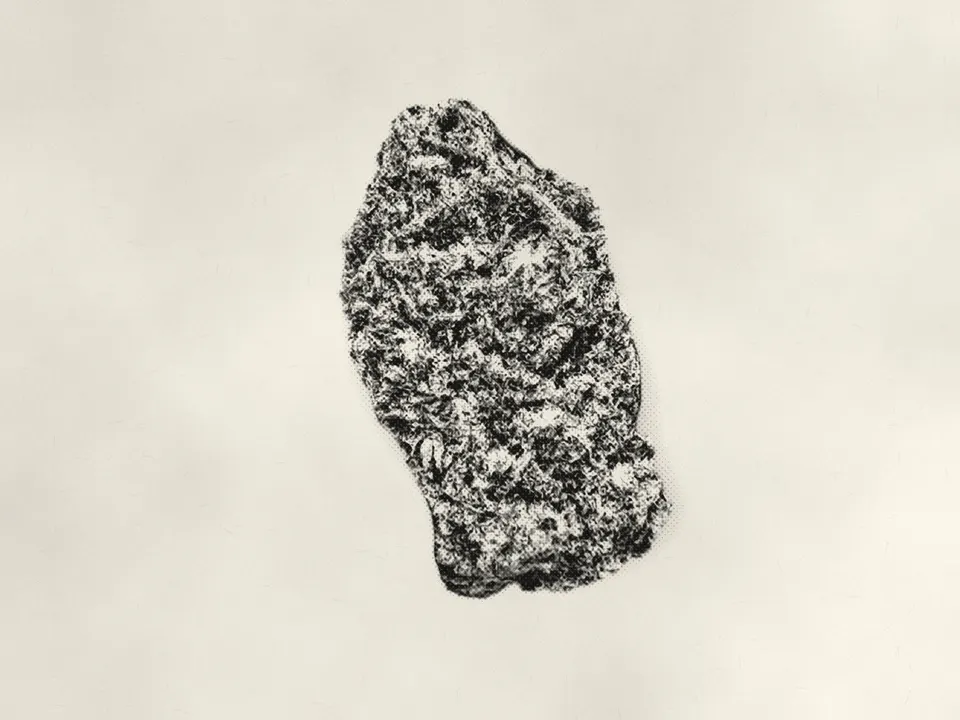 Lemon Mintz THCA flower bud, printed in halftone