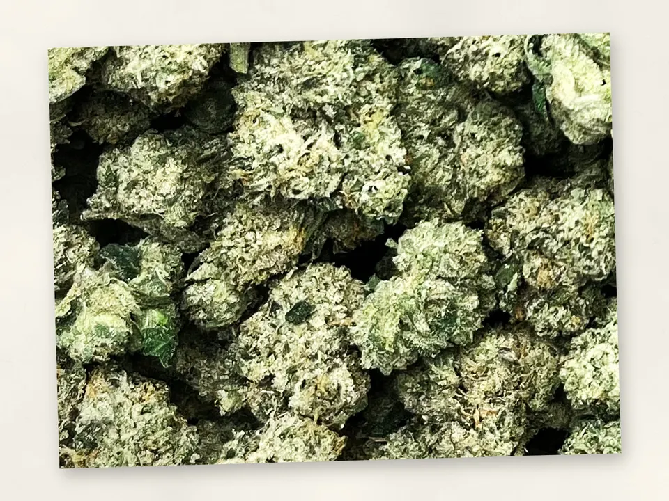 LFG THCA flower bud, close up