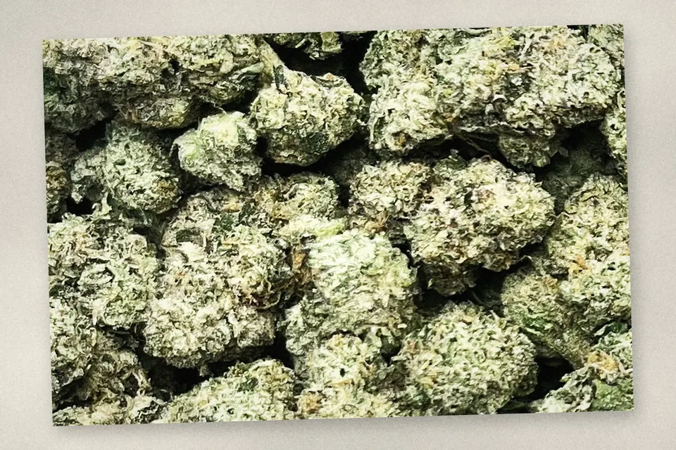 LFG THCA flower as it came in, indoor