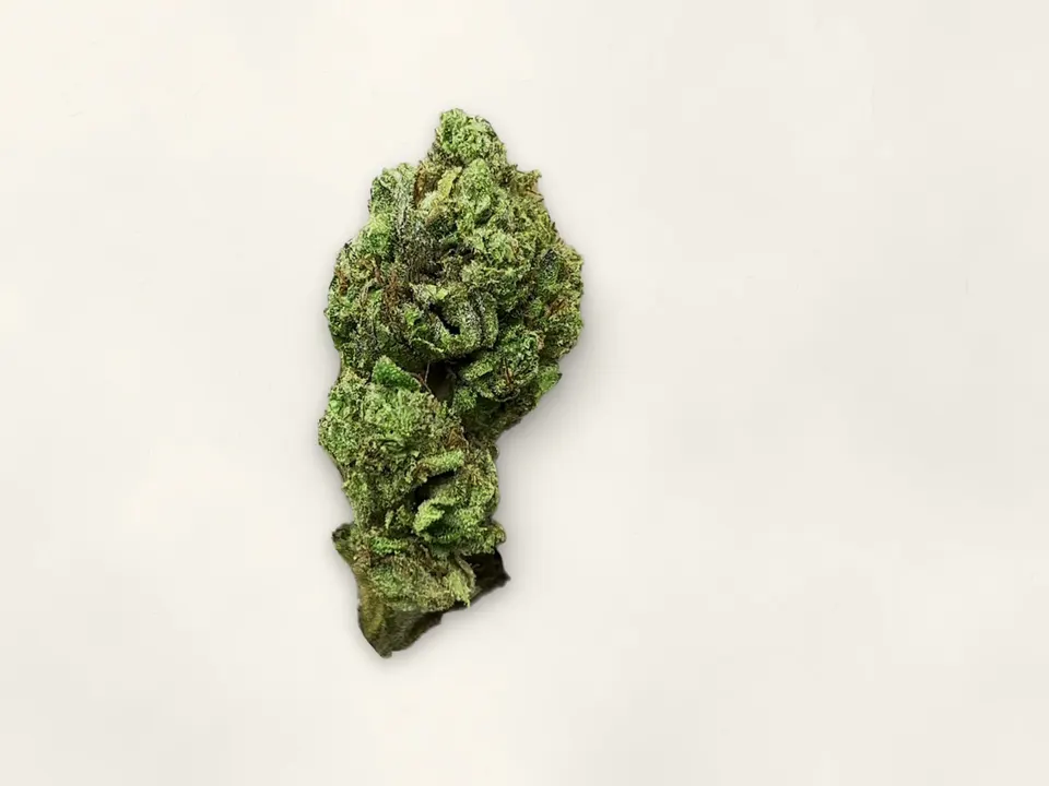 Lipsmackers THCA flower bud, close up