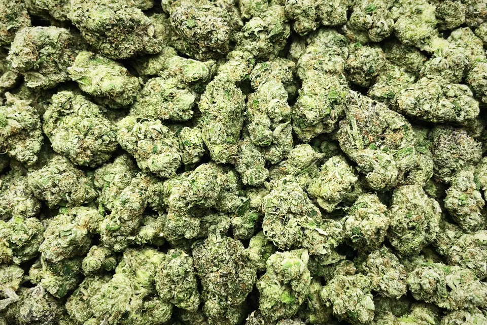 Lipsmackers THCA flower as it came in, light-dep