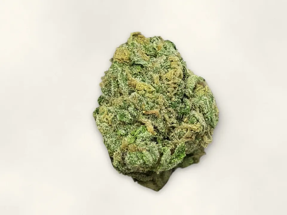 Pheno Hunt THCA flower bud, close up