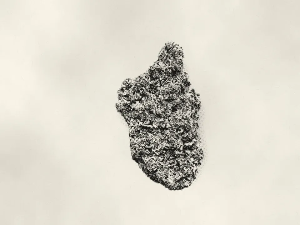 Pineapple Express THCA flower bud, printed in halftone