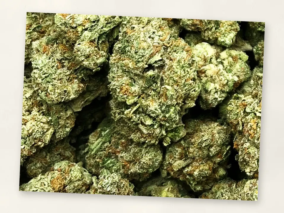Pineapple Supreme THCA flower bud, close up