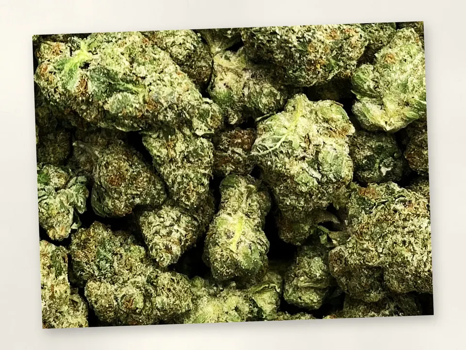 Rocket Pops THCA flower bud, close up