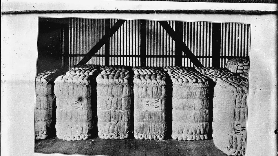 Historic photograph of hemp fibre bales in a warehouse